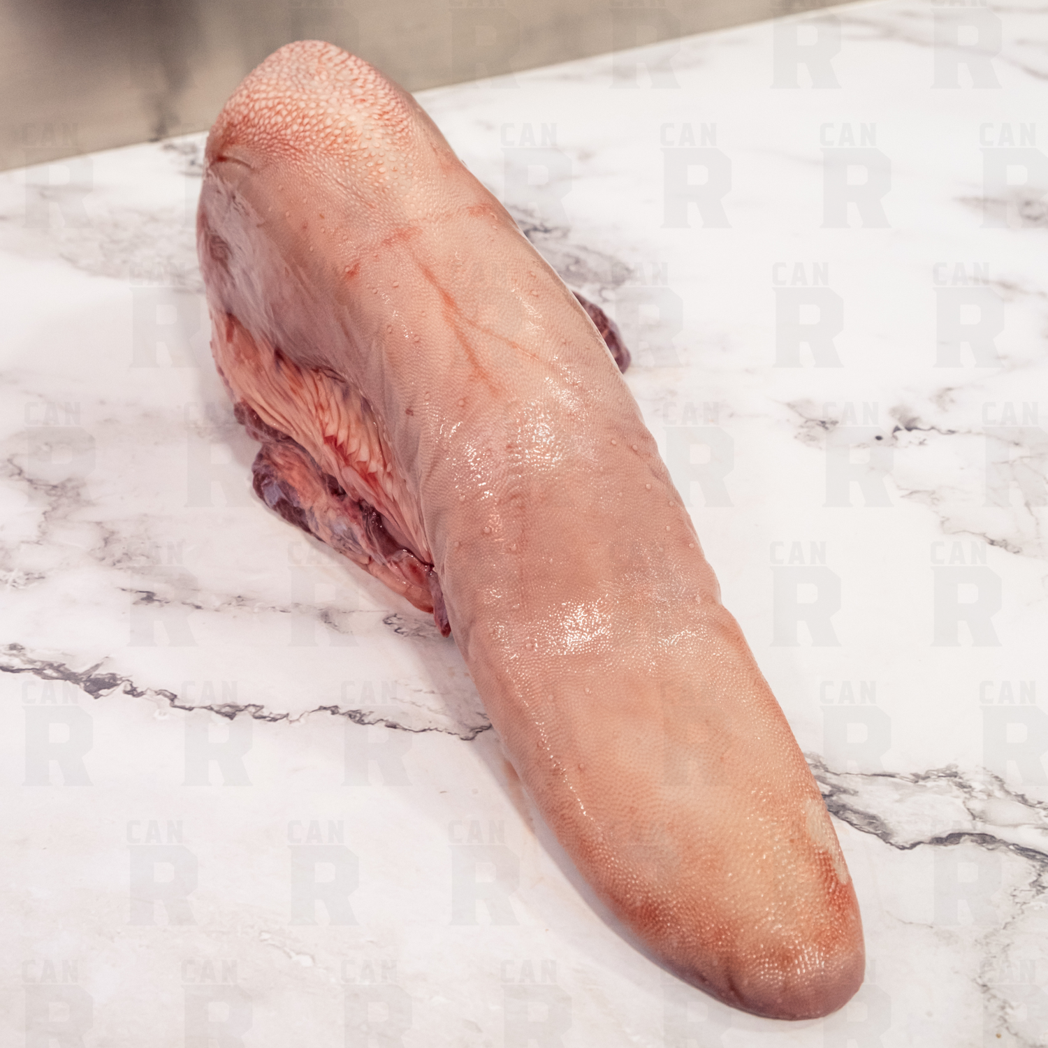 LENGUA